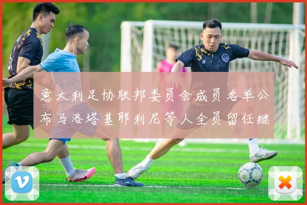 意大利足协联邦委员会成员名单公布马洛塔基耶利尼等人全员留任继续服务